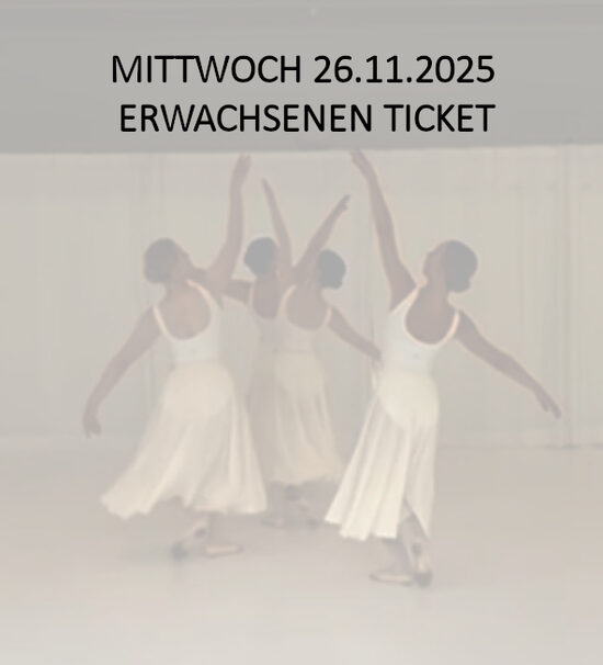 Mittwoch 26.11.25 - Erwachsenen Ticket